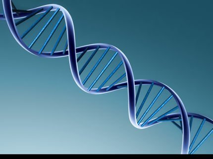 DNA