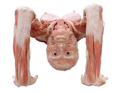 Yoga yapan insan